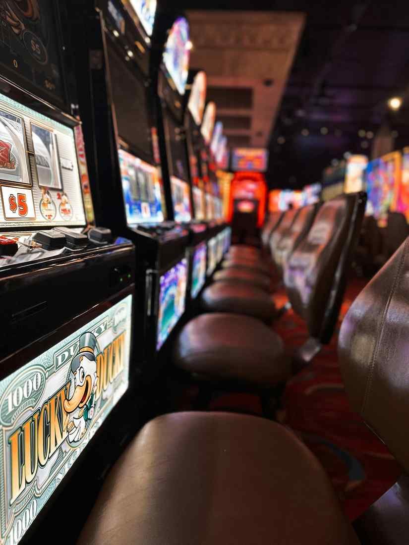 Iwild casino online